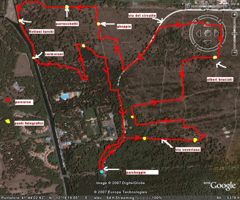 facciamo un giro in pineta?